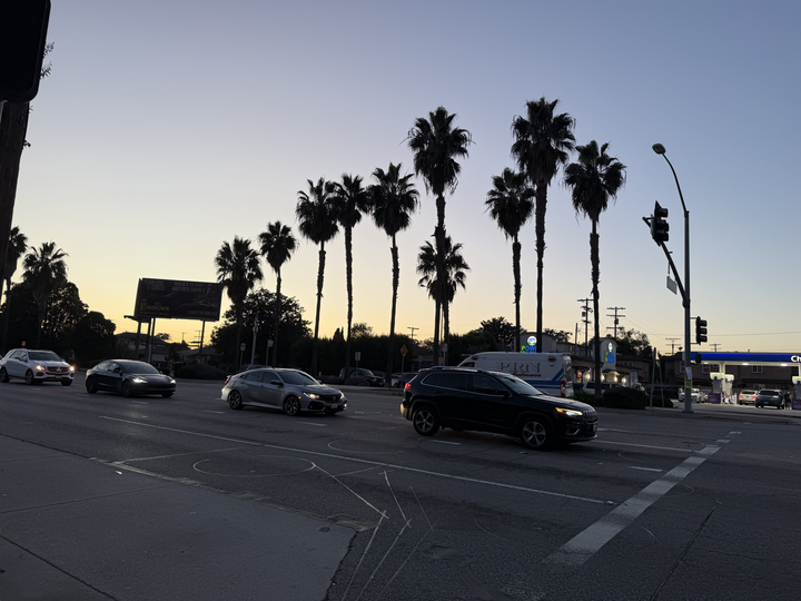 Beautiful holiday weather with the allure of palm trees. What more could you want for this holiday?